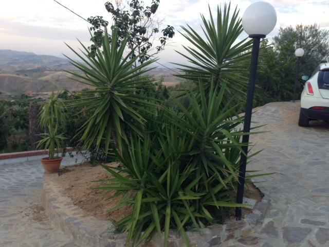 B&B Profumi Di Sicilia San Cataldo  Exterior photo